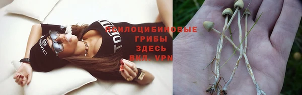 кристаллы Елабуга